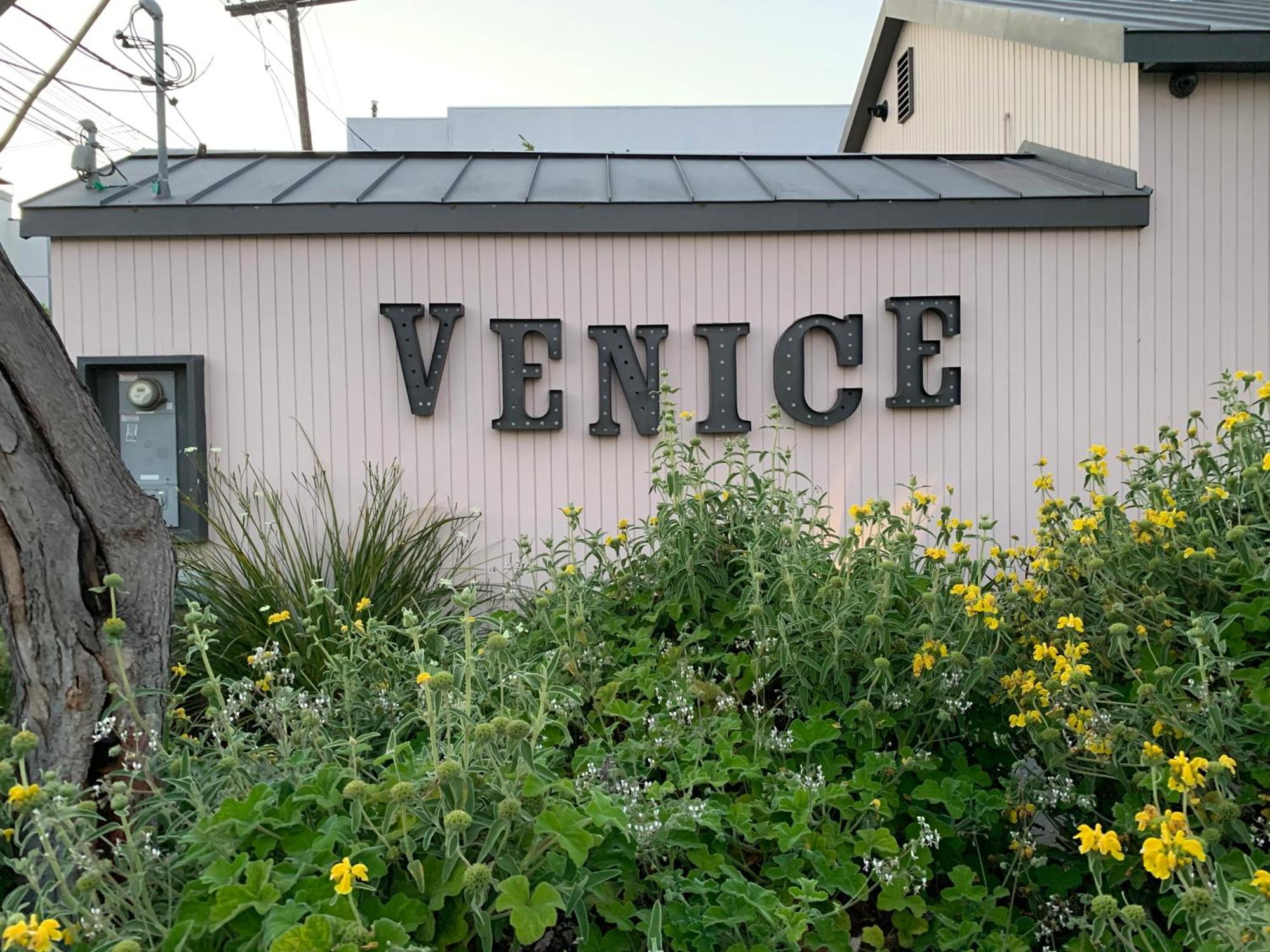 Chic Venice Beach Bungalow Steps From The Canals & Beach لوس أنجلوس المظهر الخارجي الصورة